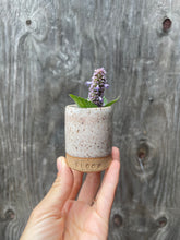 Load image into Gallery viewer, Bloom Treasure Pot