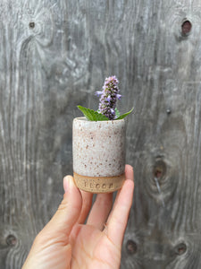 Bloom Treasure Pot