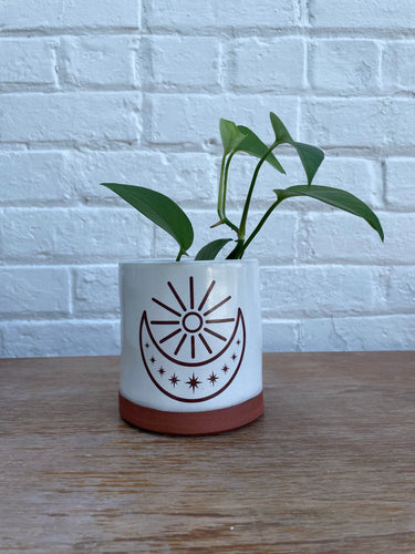 Sun Moon & Stars Planter