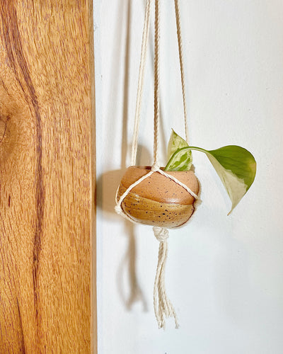 Little Hanging Planter